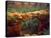 USA, Arizona, Sedona. Natural Sandstone Bridge-Jaynes Gallery-Stretched Canvas