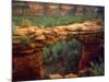 USA, Arizona, Sedona. Natural Sandstone Bridge-Jaynes Gallery-Mounted Photographic Print