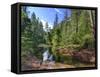 USA, Arizona, Sedona, Oak Creek Canyon, West Fork Trail-Michele Falzone-Framed Stretched Canvas