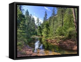 USA, Arizona, Sedona, Oak Creek Canyon, West Fork Trail-Michele Falzone-Framed Stretched Canvas