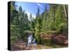 USA, Arizona, Sedona, Oak Creek Canyon, West Fork Trail-Michele Falzone-Stretched Canvas