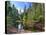 USA, Arizona, Sedona, Oak Creek Canyon, West Fork Trail-Michele Falzone-Stretched Canvas