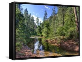 USA, Arizona, Sedona, Oak Creek Canyon, West Fork Trail-Michele Falzone-Framed Stretched Canvas