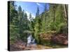 USA, Arizona, Sedona, Oak Creek Canyon, West Fork Trail-Michele Falzone-Stretched Canvas