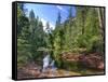 USA, Arizona, Sedona, Oak Creek Canyon, West Fork Trail-Michele Falzone-Framed Stretched Canvas