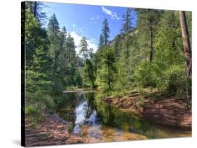 USA, Arizona, Sedona, Oak Creek Canyon, West Fork Trail-Michele Falzone-Stretched Canvas