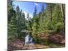 USA, Arizona, Sedona, Oak Creek Canyon, West Fork Trail-Michele Falzone-Mounted Premium Photographic Print