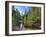 USA, Arizona, Sedona, Oak Creek Canyon, West Fork Trail-Michele Falzone-Framed Photographic Print