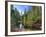 USA, Arizona, Sedona, Oak Creek Canyon, West Fork Trail-Michele Falzone-Framed Photographic Print