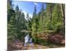 USA, Arizona, Sedona, Oak Creek Canyon, West Fork Trail-Michele Falzone-Mounted Photographic Print