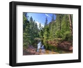 USA, Arizona, Sedona, Oak Creek Canyon, West Fork Trail-Michele Falzone-Framed Photographic Print