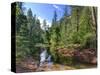 USA, Arizona, Sedona, Oak Creek Canyon, West Fork Trail-Michele Falzone-Stretched Canvas