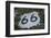 USA, Arizona, Sedona. Vintage Highway 66 sign-Kevin Oke-Framed Photographic Print