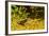 USA, Arizona, Sonoran Desert. Clark's Spiny Lizard Close-up-Cathy & Gordon Illg-Framed Photographic Print