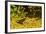 USA, Arizona, Sonoran Desert. Clark's Spiny Lizard Close-up-Cathy & Gordon Illg-Framed Photographic Print