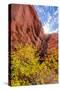 USA, Arizona. Sunburst over Sandstone Formation-Jaynes Gallery-Stretched Canvas