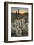 USA, Arizona. Teddy Bear Cholla cactus illuminated by the setting sun, Superstition Mountains.-Alan Majchrowicz-Framed Photographic Print