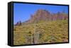 USA, Arizona, Tonto National Forest, Superstition Wilderness-John Barger-Framed Stretched Canvas