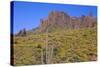 USA, Arizona, Tonto National Forest, Superstition Wilderness-John Barger-Stretched Canvas