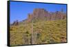 USA, Arizona, Tonto National Forest, Superstition Wilderness-John Barger-Framed Stretched Canvas