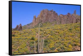 USA, Arizona, Tonto National Forest, Superstition Wilderness-John Barger-Framed Stretched Canvas