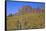USA, Arizona, Tonto National Forest, Superstition Wilderness-John Barger-Framed Stretched Canvas