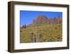 USA, Arizona, Tonto National Forest, Superstition Wilderness-John Barger-Framed Photographic Print