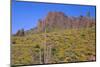 USA, Arizona, Tonto National Forest, Superstition Wilderness-John Barger-Mounted Photographic Print