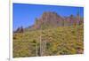 USA, Arizona, Tonto National Forest, Superstition Wilderness-John Barger-Framed Photographic Print