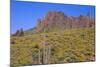 USA, Arizona, Tonto National Forest, Superstition Wilderness-John Barger-Mounted Photographic Print