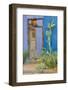 USA, Arizona, Tucson, Blue House-Hollice Looney-Framed Photographic Print