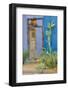 USA, Arizona, Tucson, Blue House-Hollice Looney-Framed Photographic Print