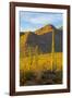 USA, Arizona, Tucson. Desert sunset in Saguaro National Park.-Fred Lord-Framed Photographic Print