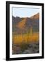 USA, Arizona, Tucson. Desert sunset in Saguaro National Park.-Fred Lord-Framed Photographic Print