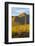 USA, Arizona, Tucson. Desert sunset in Saguaro National Park.-Fred Lord-Framed Photographic Print