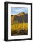 USA, Arizona, Tucson. Desert sunset in Saguaro National Park.-Fred Lord-Framed Photographic Print