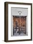 USA, Arizona, Tucson, Door in Tucson-Hollice Looney-Framed Photographic Print