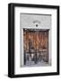 USA, Arizona, Tucson, Door in Tucson-Hollice Looney-Framed Photographic Print