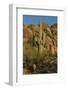 Usa, Arizona, Tucson Mountain Park, Little Cat Mountain-Peter Hawkins-Framed Photographic Print