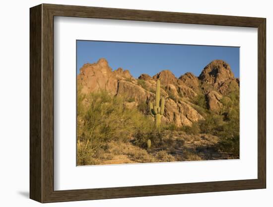 Usa, Arizona, Tucson Mountain Park, Little Cat Mountain-Peter Hawkins-Framed Photographic Print