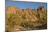 Usa, Arizona, Tucson Mountain Park, Little Cat Mountain-Peter Hawkins-Mounted Photographic Print