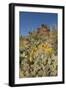 Usa, Arizona, Tucson Mountain Park-Peter Hawkins-Framed Photographic Print