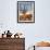 USA, Arizona, Tucson, Saguaro National Park-Michele Falzone-Framed Photographic Print displayed on a wall
