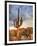 USA, Arizona, Tucson, Saguaro National Park-Michele Falzone-Framed Photographic Print