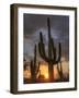 USA, Arizona, Tucson, Saguaro National Park-Michele Falzone-Framed Photographic Print