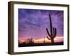 USA, Arizona, Tucson, Saguaro National Park-Michele Falzone-Framed Photographic Print