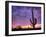 USA, Arizona, Tucson, Saguaro National Park-Michele Falzone-Framed Photographic Print