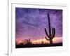 USA, Arizona, Tucson, Saguaro National Park-Michele Falzone-Framed Photographic Print