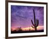 USA, Arizona, Tucson, Saguaro National Park-Michele Falzone-Framed Photographic Print