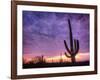 USA, Arizona, Tucson, Saguaro National Park-Michele Falzone-Framed Photographic Print